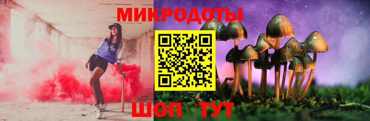 Галлюциногенные грибы ЛСД Алексеевка